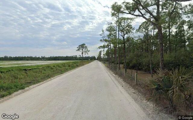 Decorative background for 0.19 Acres in Estero - Lee County, FL image 6
