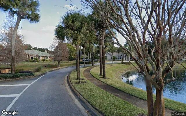 Decorative background for 0.16 Acres in Windermere - Orange County, FL image 5