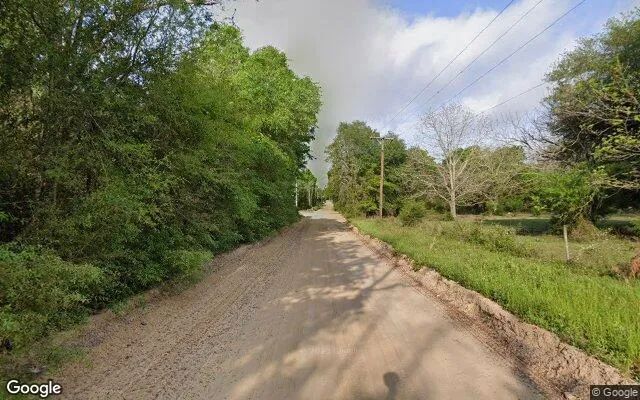 Decorative background for 1.03 Acres in Greenwood - Jackson County, FL image 5