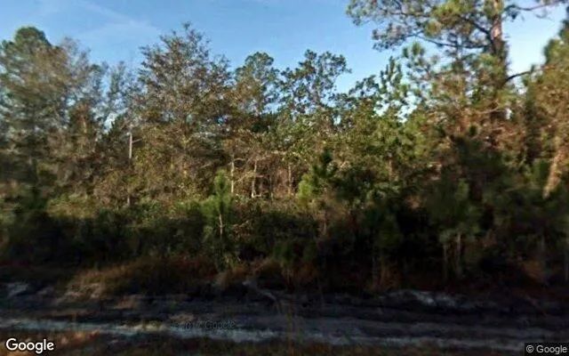 1.25 Acres in Palm Coast - Flagler County, FL - Image 4