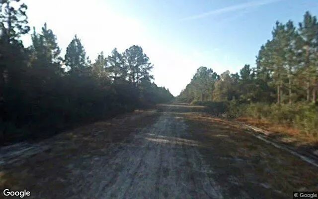 Decorative background for 1.25 Acres in Palm Coast - Flagler County, FL image 5