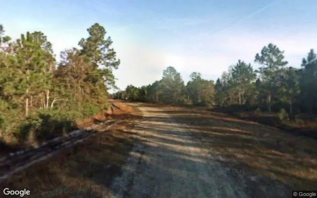 Decorative background for 1.25 Acres in Palm Coast - Flagler County, FL image 6