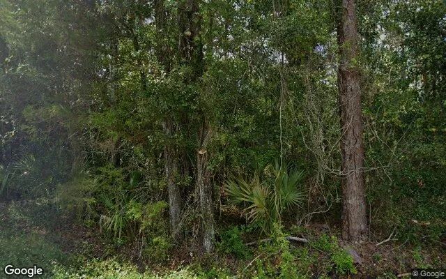 0.55 Acres in Sopchoppy - Wakulla County, FL in Wakulla County, FL