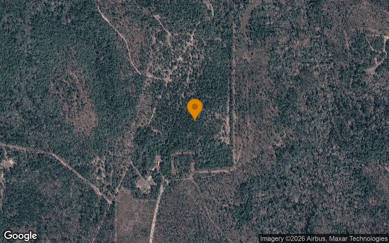 14.77 Acres in Bristol - Liberty County, FL in Liberty County, FL