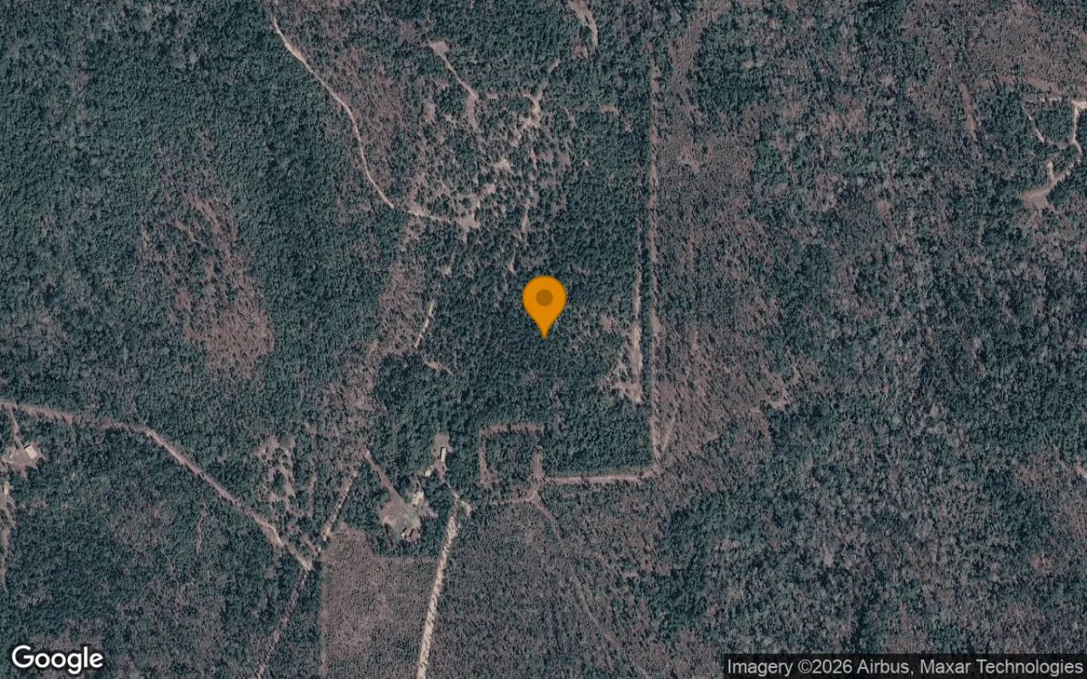 14.77 Acres in Bristol - Liberty County, FL - Main image