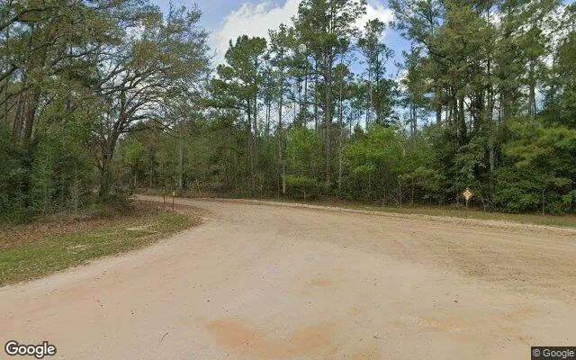 Decorative background for 14.77 Acres in Bristol - Liberty County, FL image 5