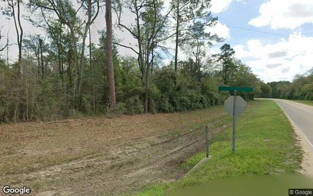 Decorative background for 14.77 Acres in Bristol - Liberty County, FL image 6