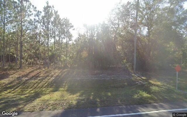0.15 Acres in Pierson - Volusia County, FL - Image 4