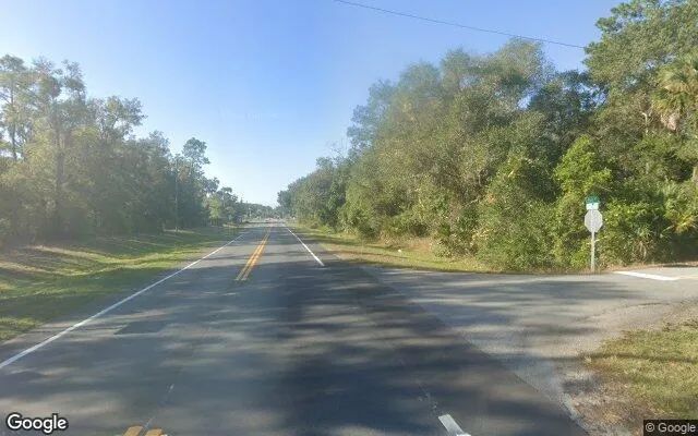 Decorative background for 0.15 Acres in Pierson - Volusia County, FL image 6