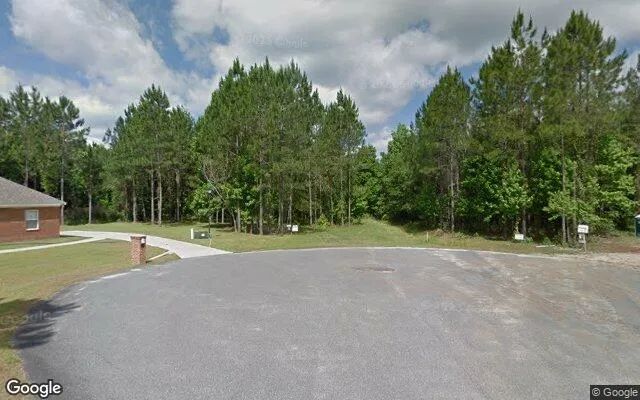 Decorative background for 0.55 Acres in Tallahassee - Leon County, FL image 5