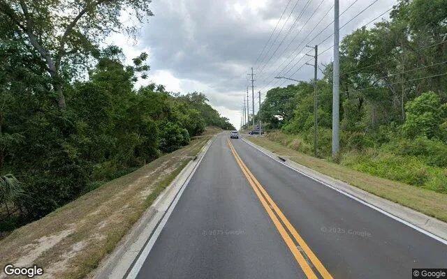Decorative background for 0.14 Acres in Zellwood - Orange County, FL image 6