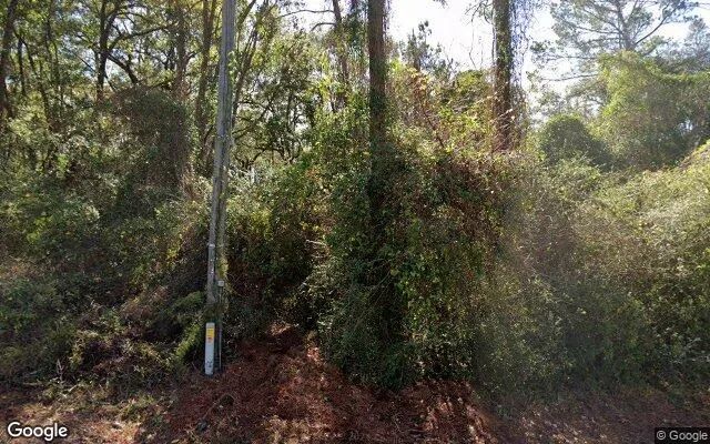 0.2 Acres in Caryville - Washington County, FL - Image 4