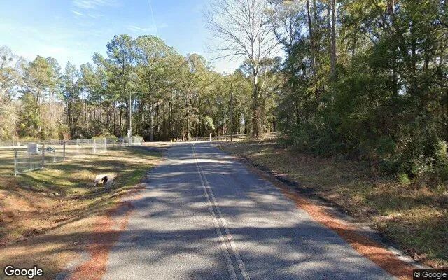 Decorative background for 0.2 Acres in Caryville - Washington County, FL image 5