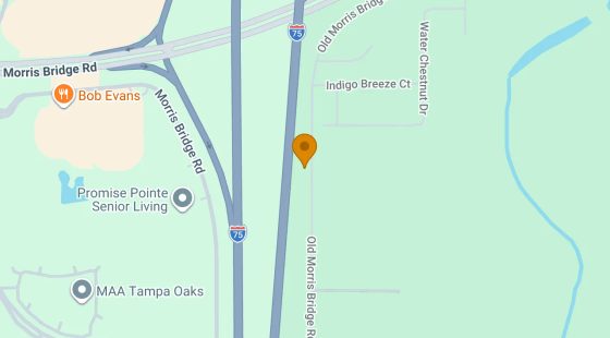 0.22 Acres in Tampa - Hillsborough County, FL in Hillsborough County, FL
