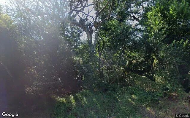 0.22 Acres in Tampa - Hillsborough County, FL - Image 4