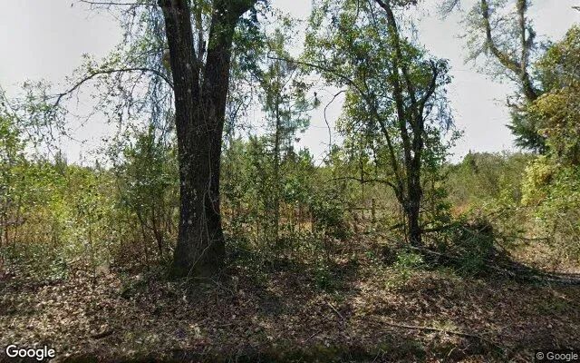 14.99 Acres in Bristol - Liberty County, FL in Liberty County, FL