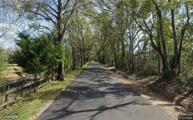 Decorative background for 14.99 Acres in Bristol - Liberty County, FL image 5