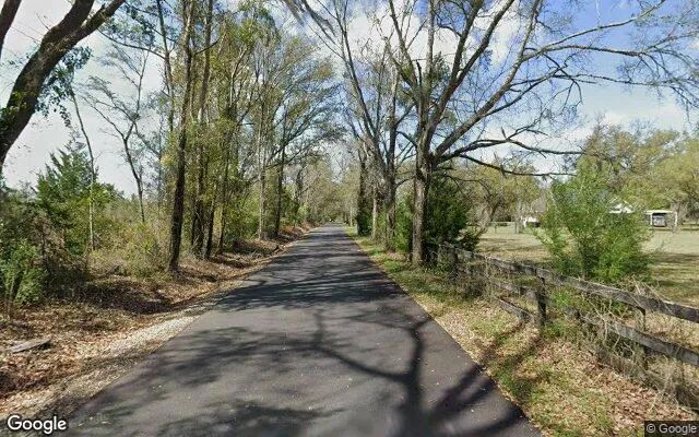 Decorative background for 14.99 Acres in Bristol - Liberty County, FL image 6