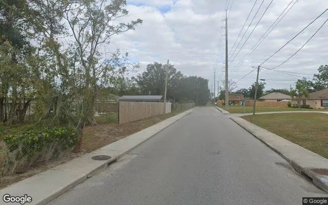 Decorative background for 0.4 Acres in Bartow - Polk County, FL image 6