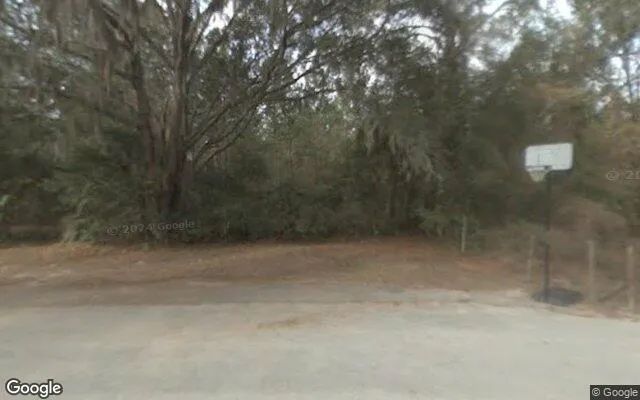 Decorative background for 1.5 Acres in Lake Butler - Union County, FL image 5