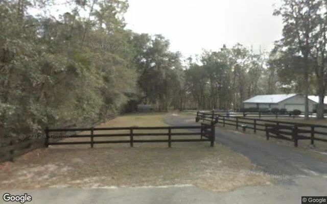 Decorative background for 1.5 Acres in Lake Butler - Union County, FL image 6