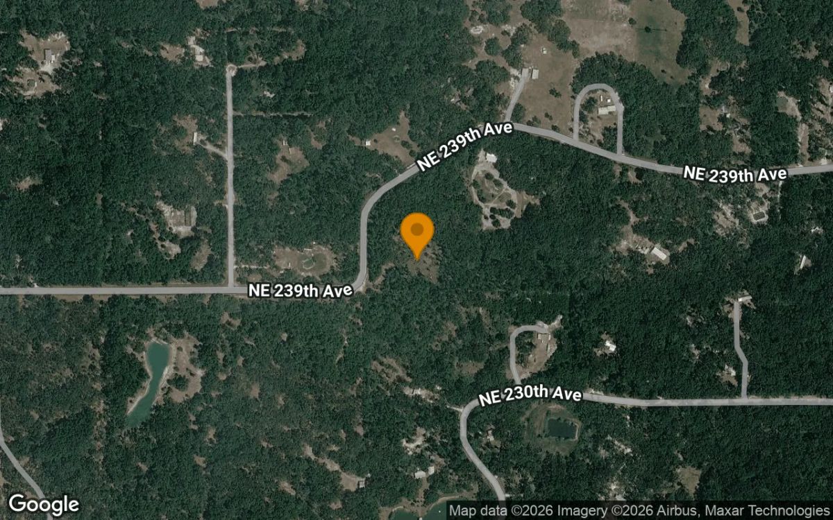 Decorative background for 3.51 Acres in Old Town - Dixie County, FL image 6