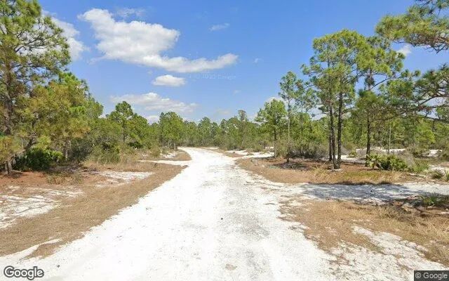 Decorative background for 0.27 Acres in Lake Placid - Highlands County, FL image 5