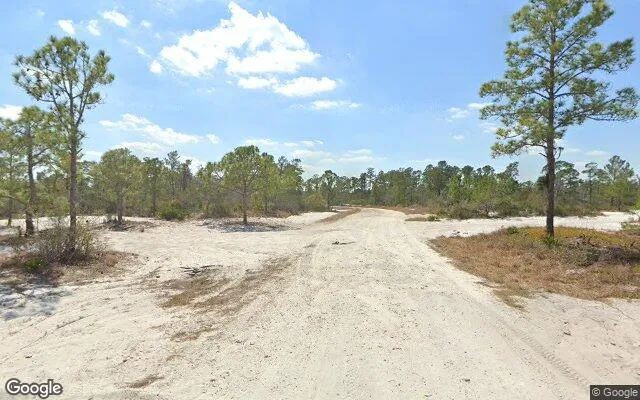 Decorative background for 0.27 Acres in Lake Placid - Highlands County, FL image 6