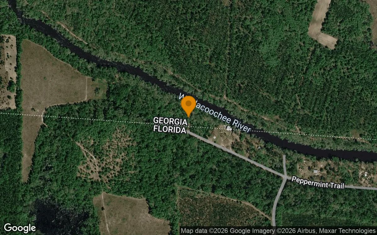 Decorative background for 2.11 Acres in Pinetta - Madison County, FL image 6