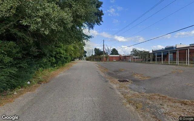 Decorative background for 0.1 Acres in Graceville - Jackson County, FL image 6