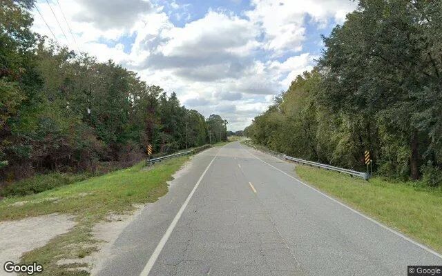 Decorative background for 5 Acres in Graham - Bradford County, FL image 6