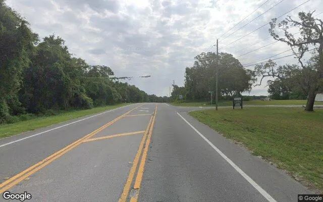 Decorative background for 0.5 Acres in Mascotte - Lake County, FL image 6
