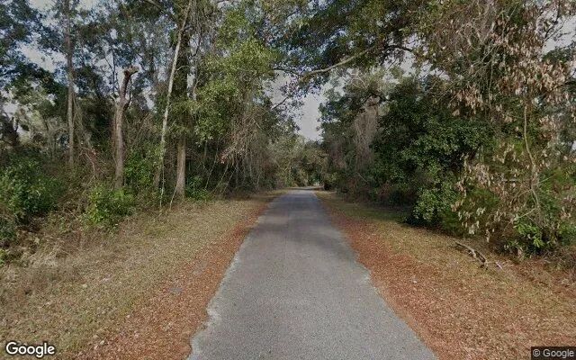 Decorative background for 0.55 Acres in Bell - Gilchrist County, FL image 6