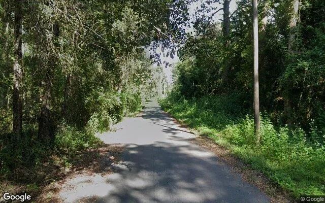 Decorative background for 3.5 Acres in Monticello - Jefferson County, FL image 5