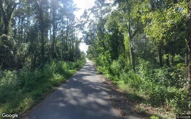Decorative background for 3.5 Acres in Monticello - Jefferson County, FL image 6