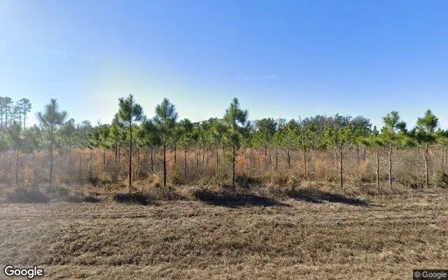 3.59 Acres in White Springs - Hamilton County, FL - Image 4