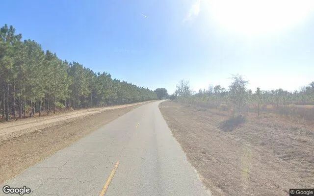 Decorative background for 3.59 Acres in White Springs - Hamilton County, FL image 5