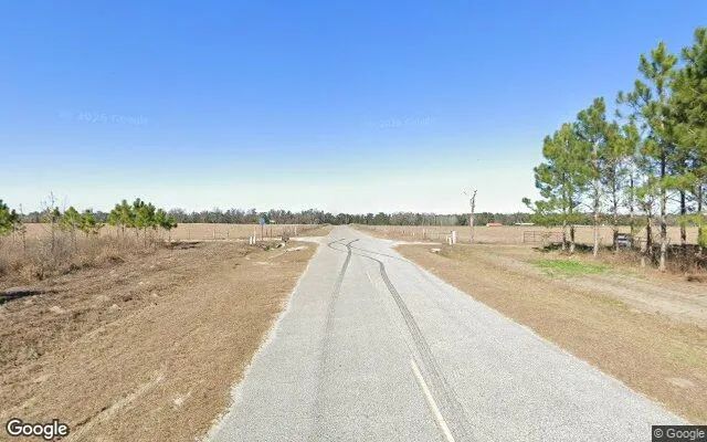 Decorative background for 3.59 Acres in White Springs - Hamilton County, FL image 6