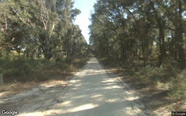 Decorative background for 0.29 Acres in Summerfield - Marion County, FL image 5