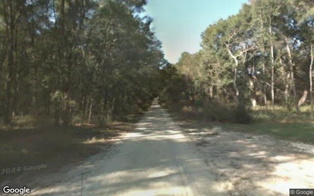 Decorative background for 0.29 Acres in Summerfield - Marion County, FL image 6