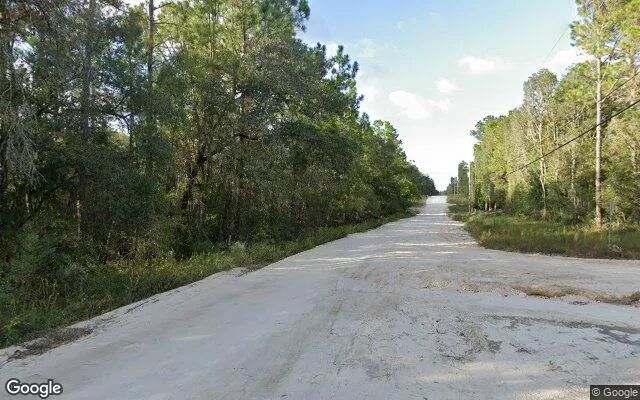 Decorative background for 1.5 Acres in Keystone Heights - Clay County, FL image 5