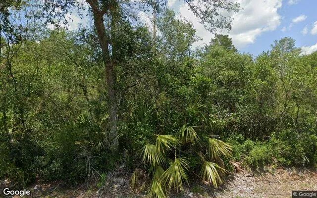 0.12 Acres in Paisley - Lake County, FL in Lake County, FL