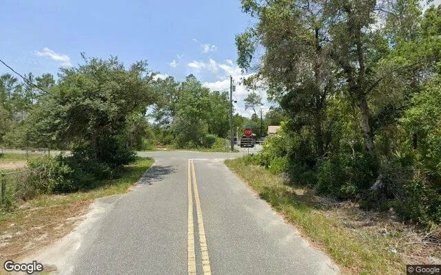 Decorative background for 0.12 Acres in Paisley - Lake County, FL image 5