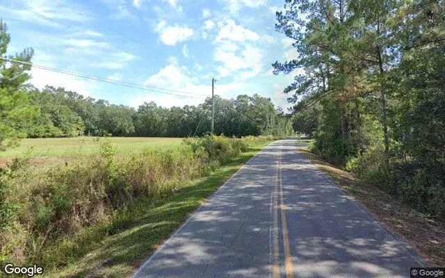 Decorative background for 0.55 Acres in Midway - Gadsden County, FL image 5