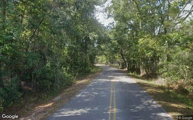 Decorative background for 0.55 Acres in Midway - Gadsden County, FL image 6
