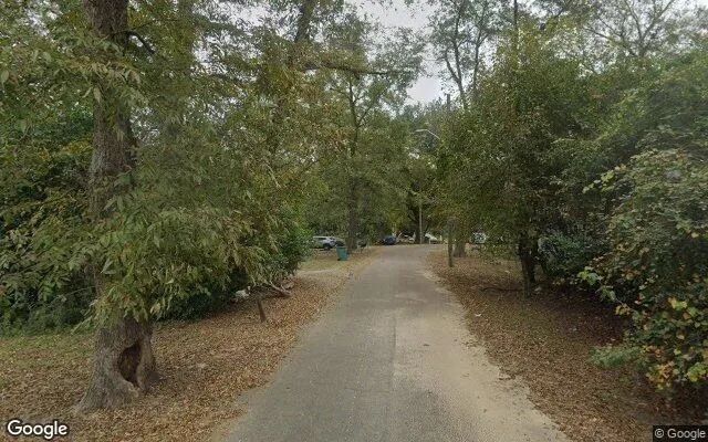 Decorative background for 0.11 Acres in Campbellton - Jackson County, FL image 5