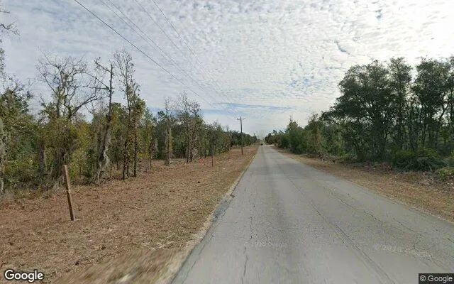 Decorative background for 0.23 Acres in Williston - Levy County, FL image 6