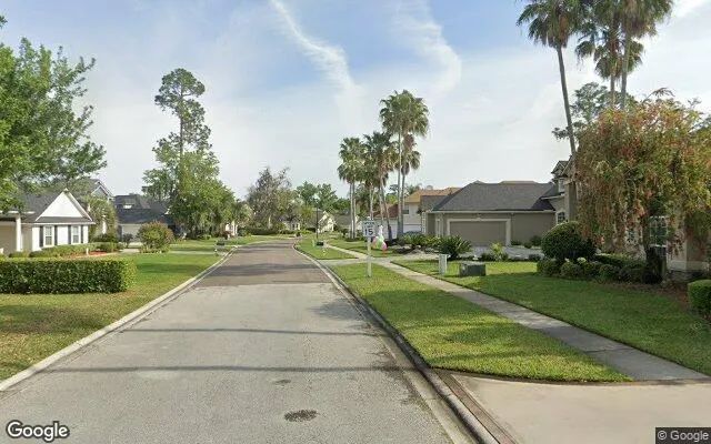 Decorative background for 0.25 Acres in Fleming Island - Clay County, FL image 6