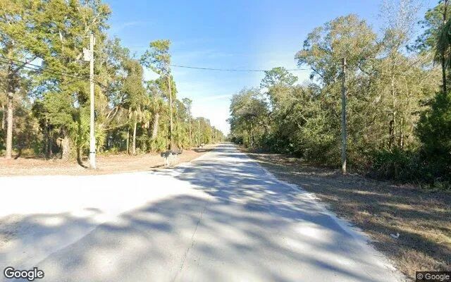 Decorative background for 0.46 Acres in Cedar Key - Levy County, FL image 6