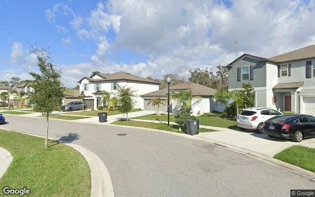 Decorative background for 0.24 Acres in Riverview - Hillsborough County, FL image 5